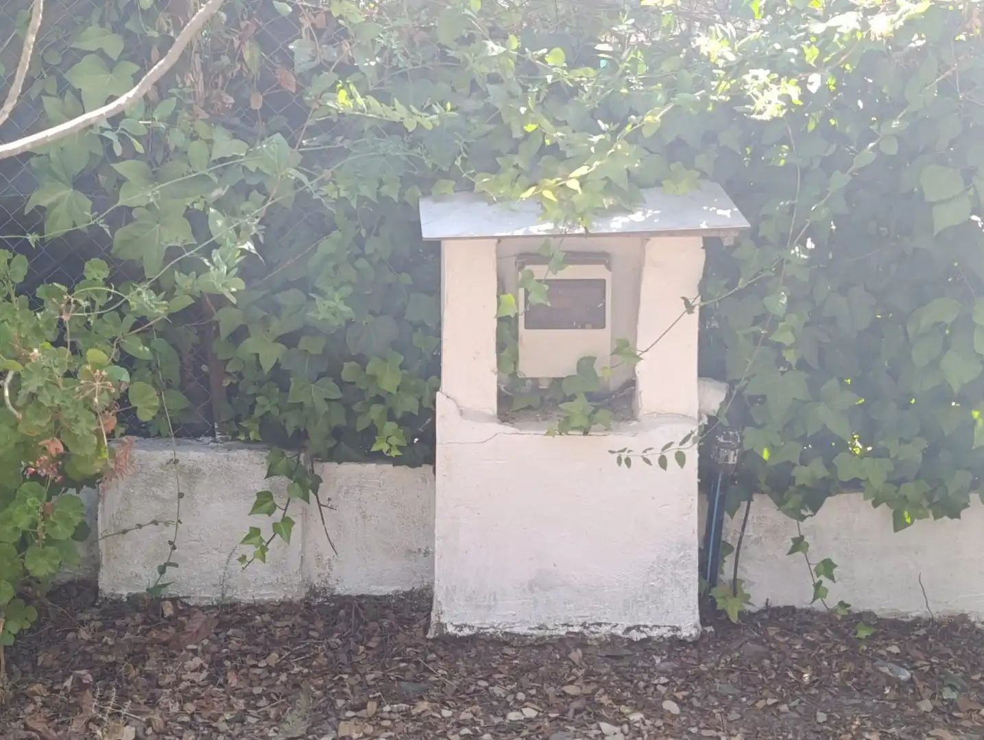Jardín de Casa o chalet en venta en Castilblanco de los Arroyos
