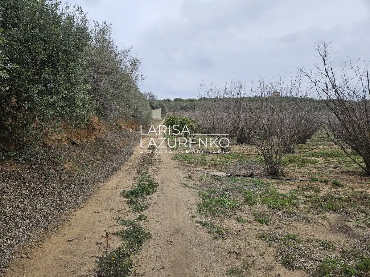 Finca rústica en venda en Riudoms