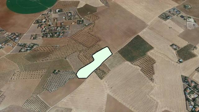 Terreno en Venta en Pozuelo de Calatrava