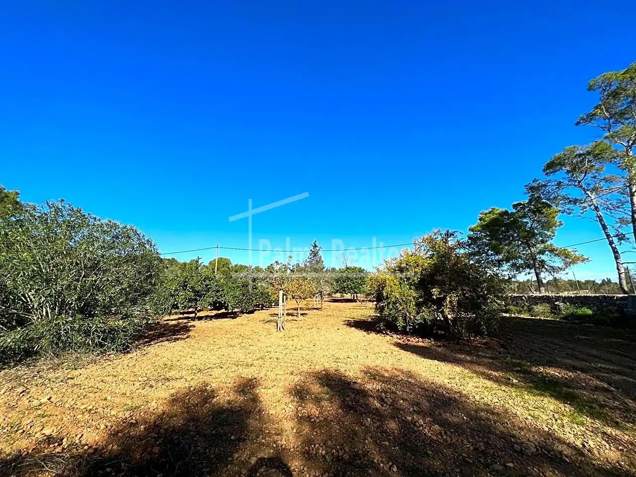 Terreno rustico in vendita a Algaida, imagen 8