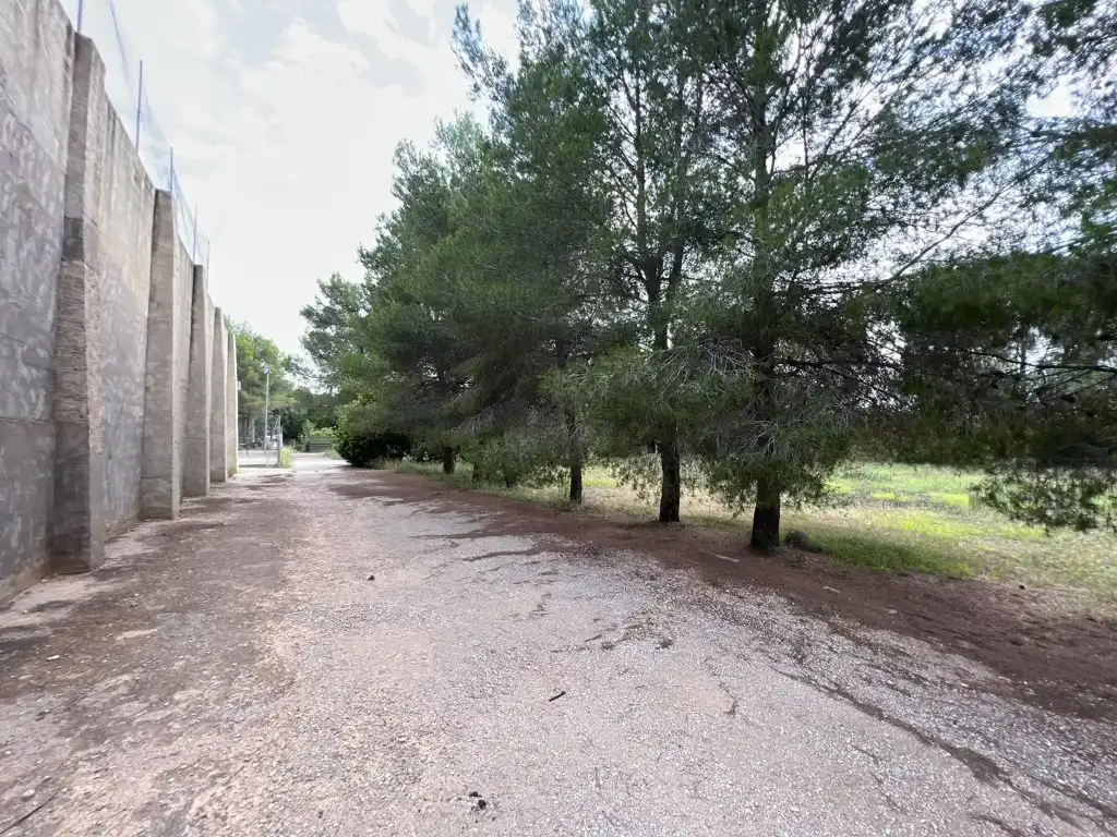 Terreny residencial en venda a Alberic, imagen 42