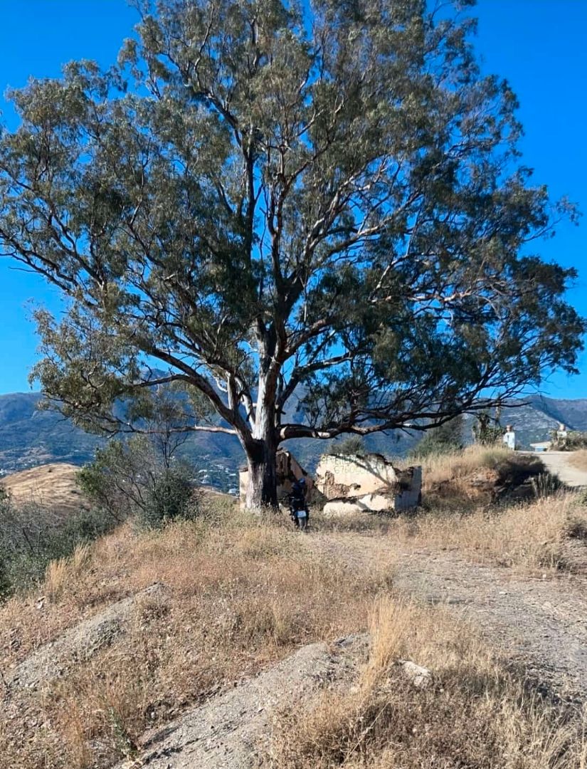 Exterior view of Land for sale in Mijas