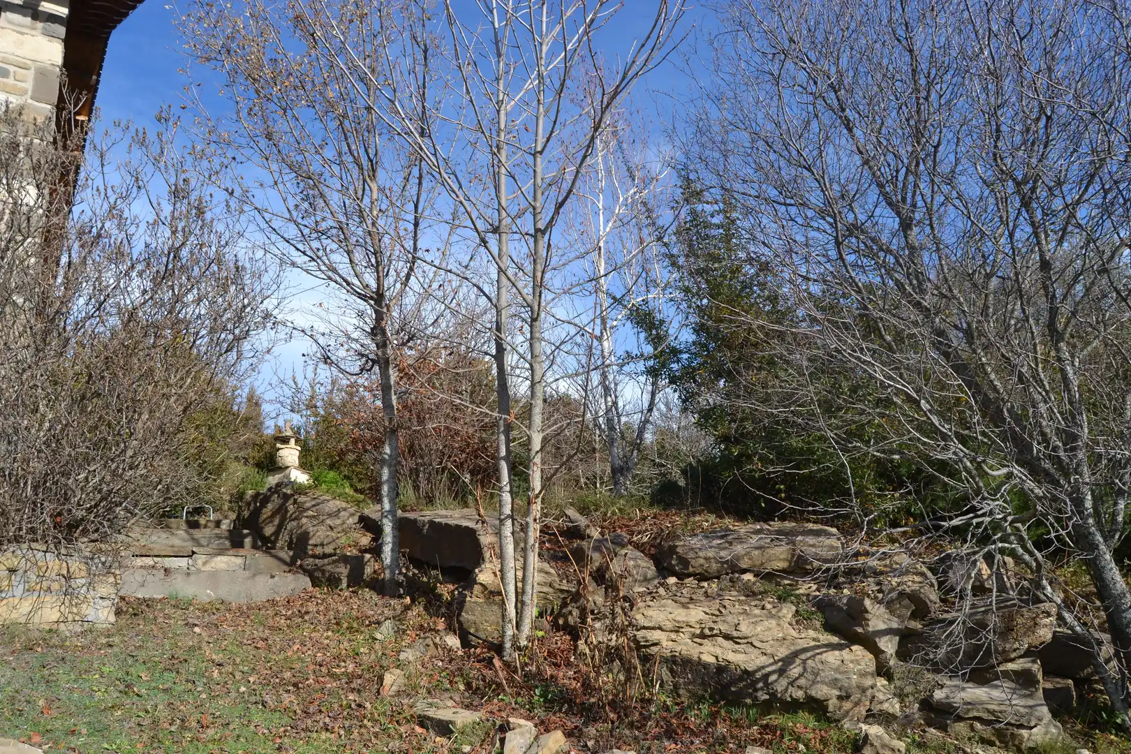 Garten von Haus oder Chalet zum Verkauf in Aisa mit Heizung und Privatgarten