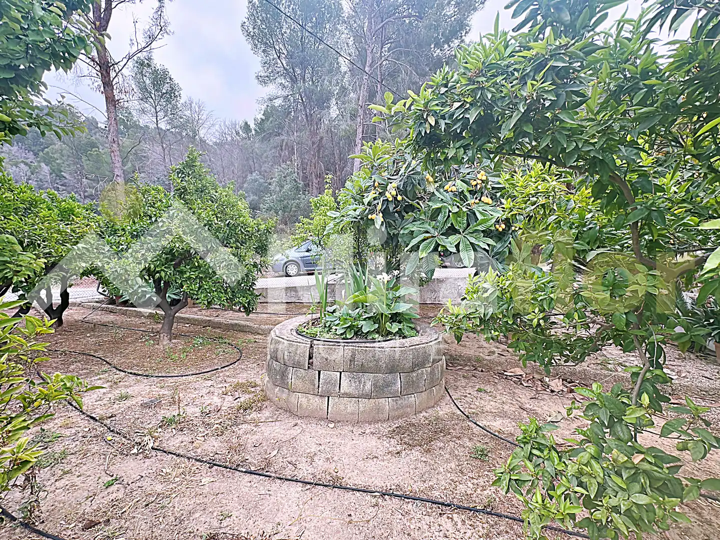 Jardín de Finca rústica en venta en Pego con Jardín privado, Terraza y Amueblado
