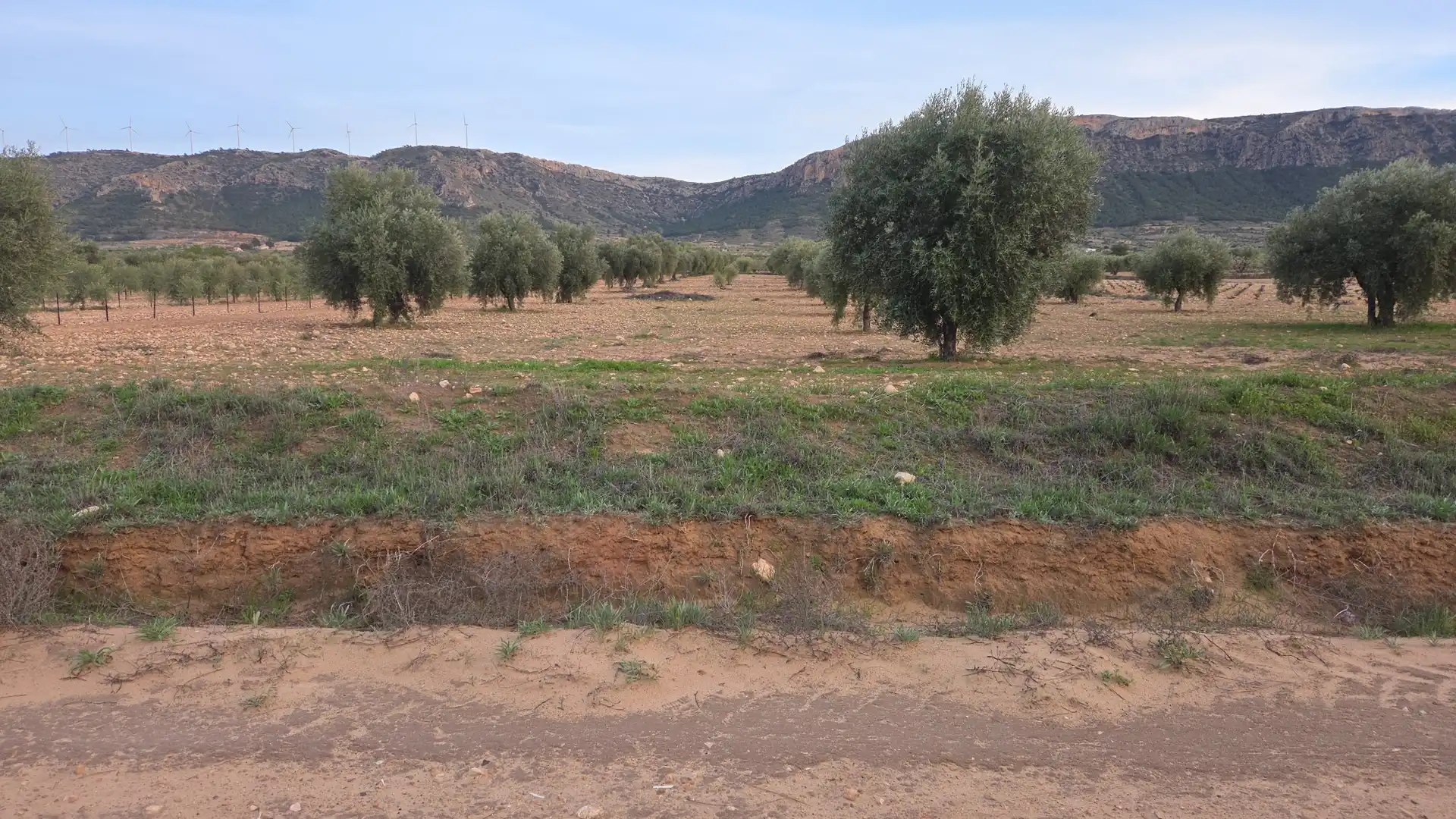 Terreny residencial en venda a Jumilla, imagen 6