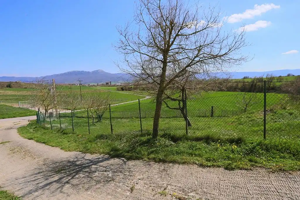 Land for sale in Zalduondo