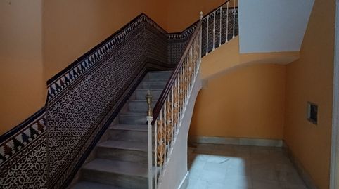 Photo 2 of Houses for sale in El Rocío - La Milagrosa, Jerez de la Frontera