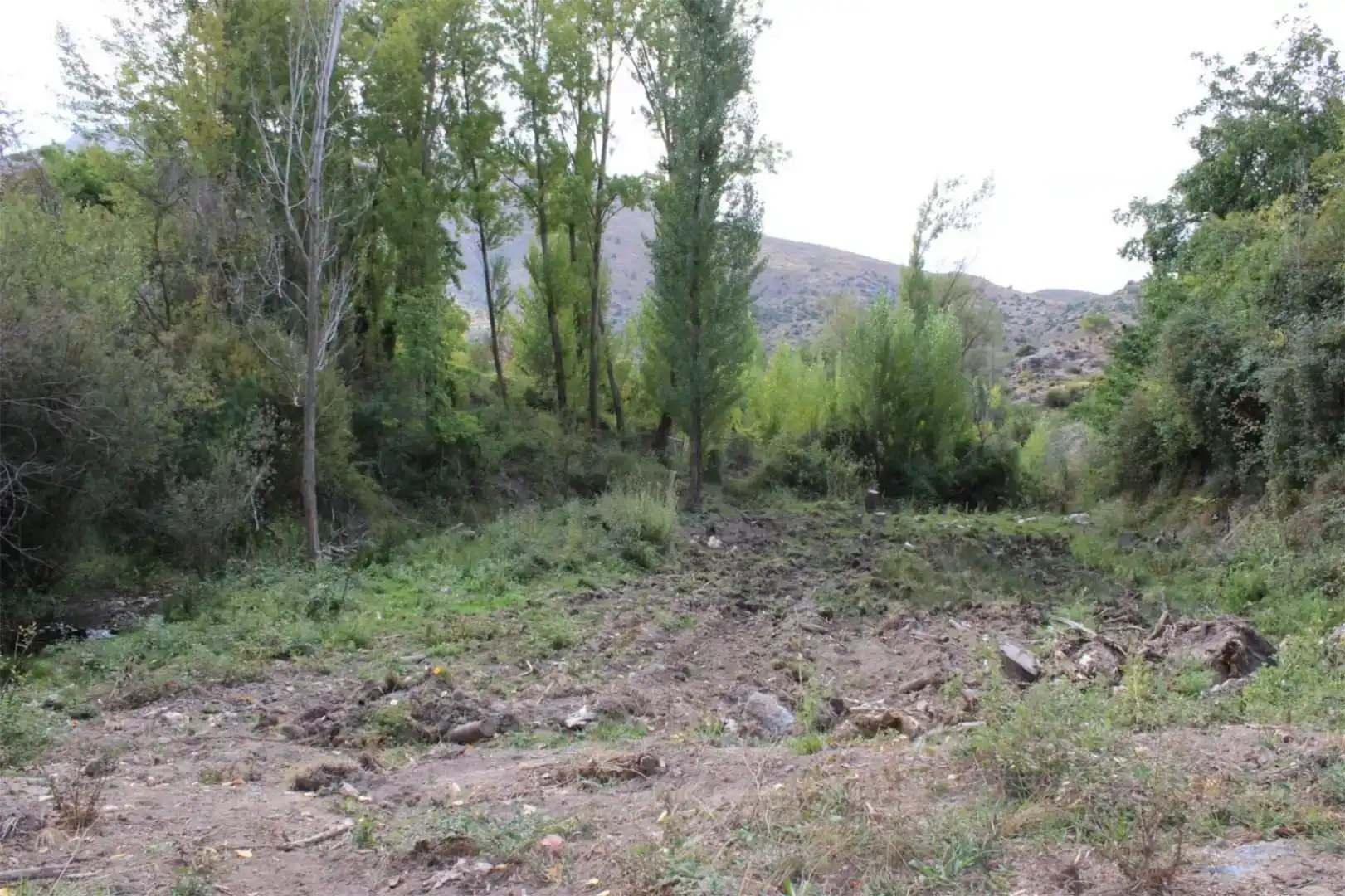 Finca rústica en venta en Quéntar