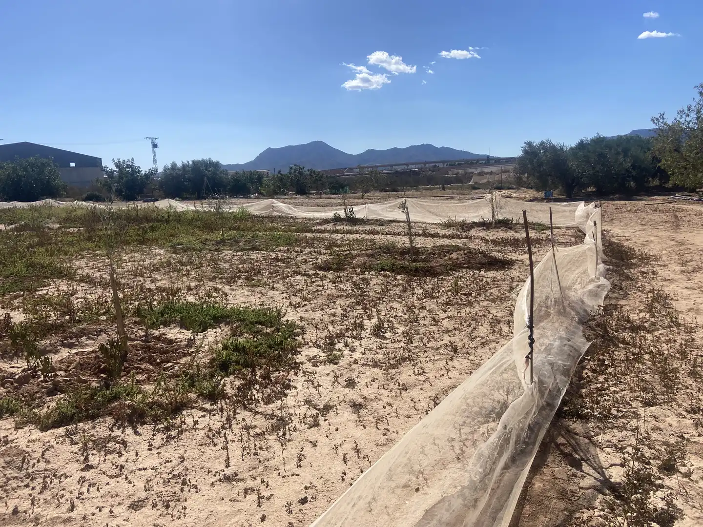 Land for sale in Cartagena