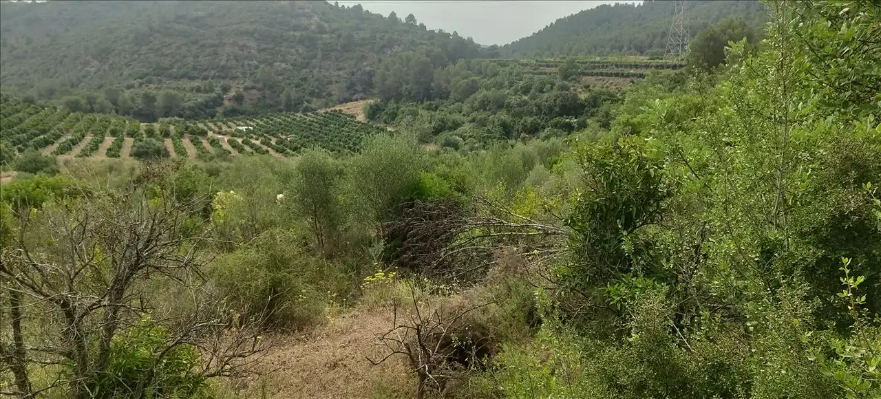 Residencial en venta en Estubeny