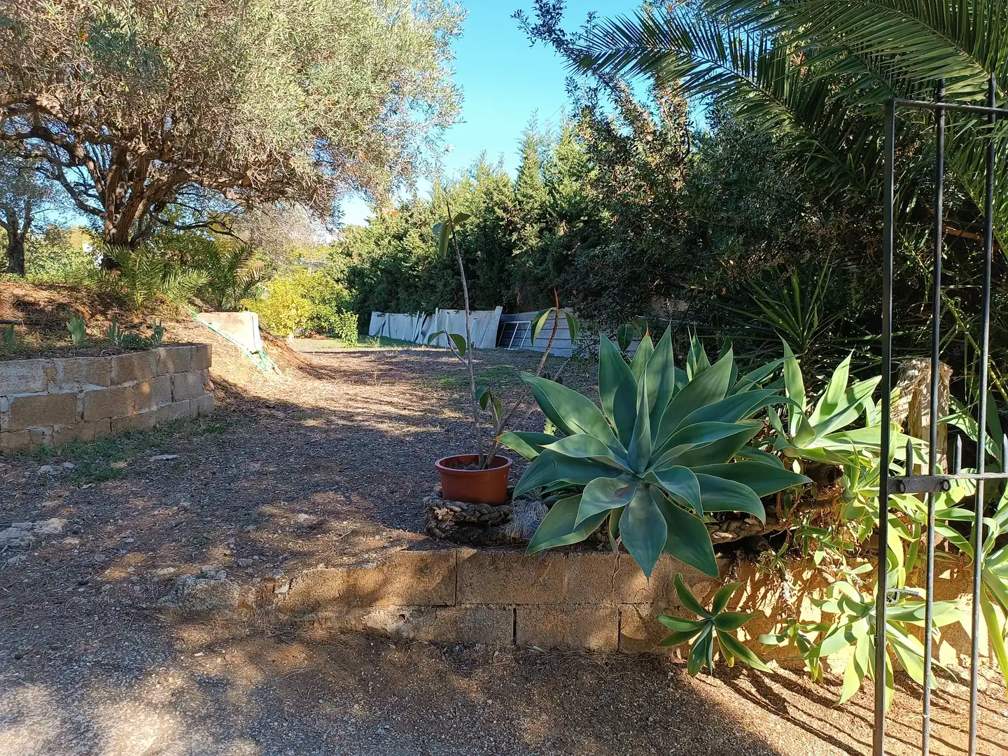 Jardín de Finca rústica en venta en Estepona con Jardín privado, Terraza y Amueblado