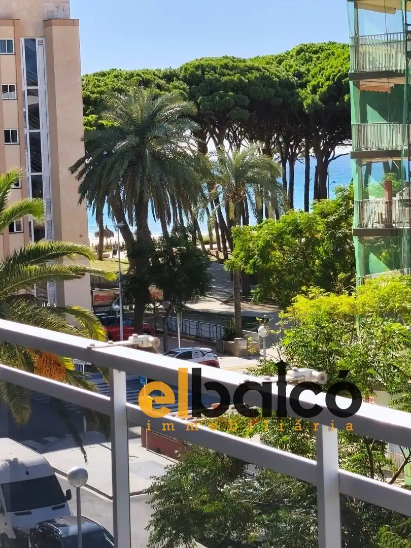 Flat for sale in Carrer d'Emili Vendrell, 4, La Pineda