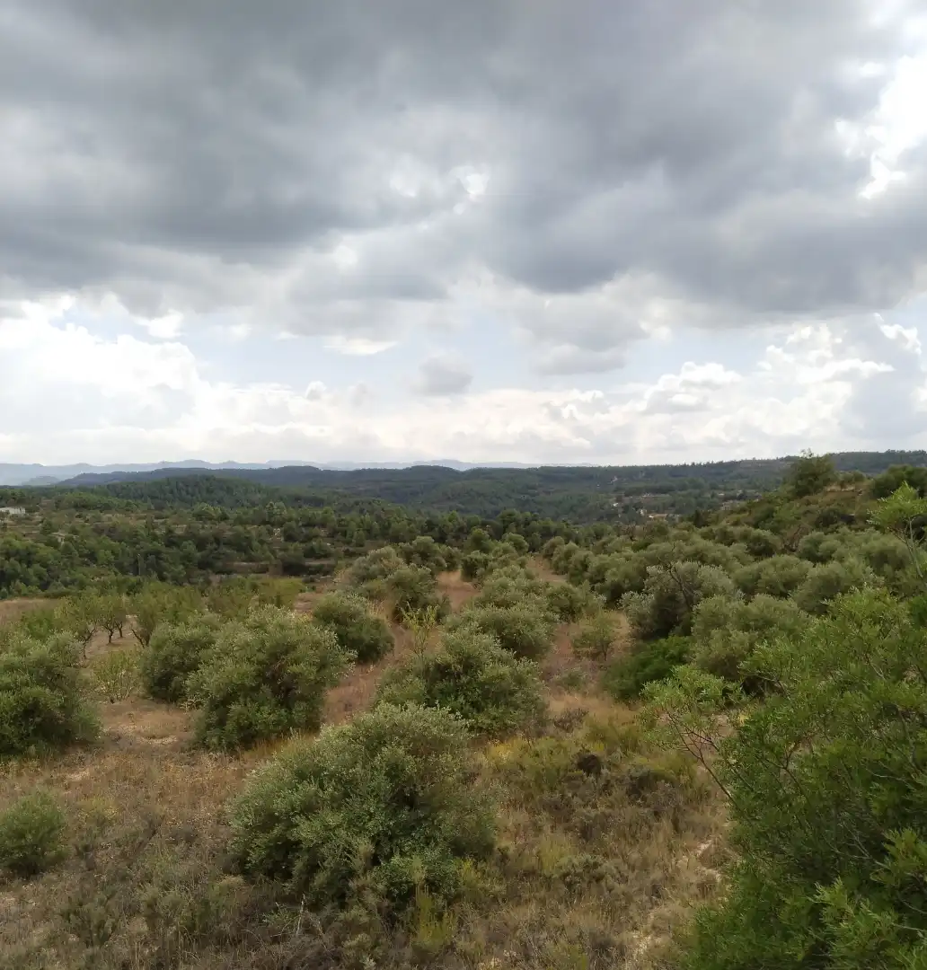 Terreno rustico in vendita a Carrer Onze de Setembre 21, imagen 9