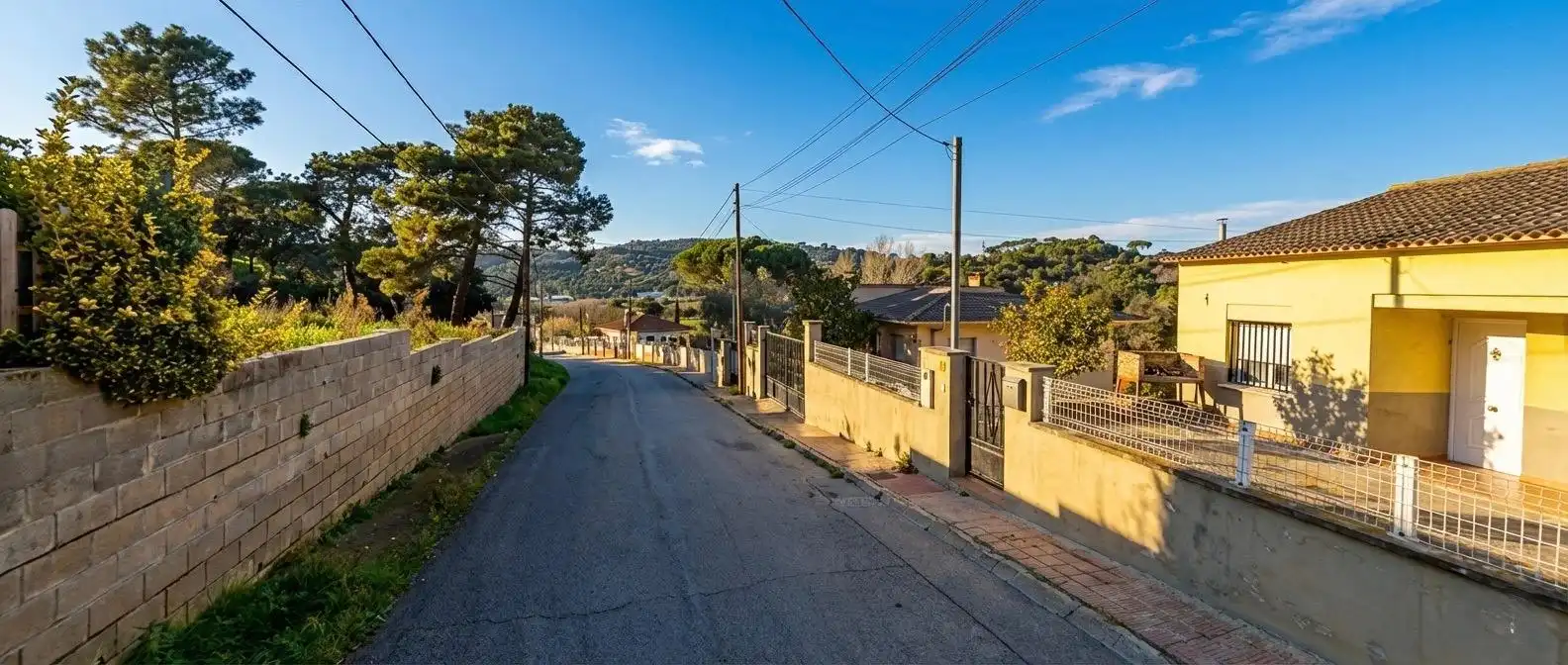 House with garden for sale in Calle AMER, imagen 2