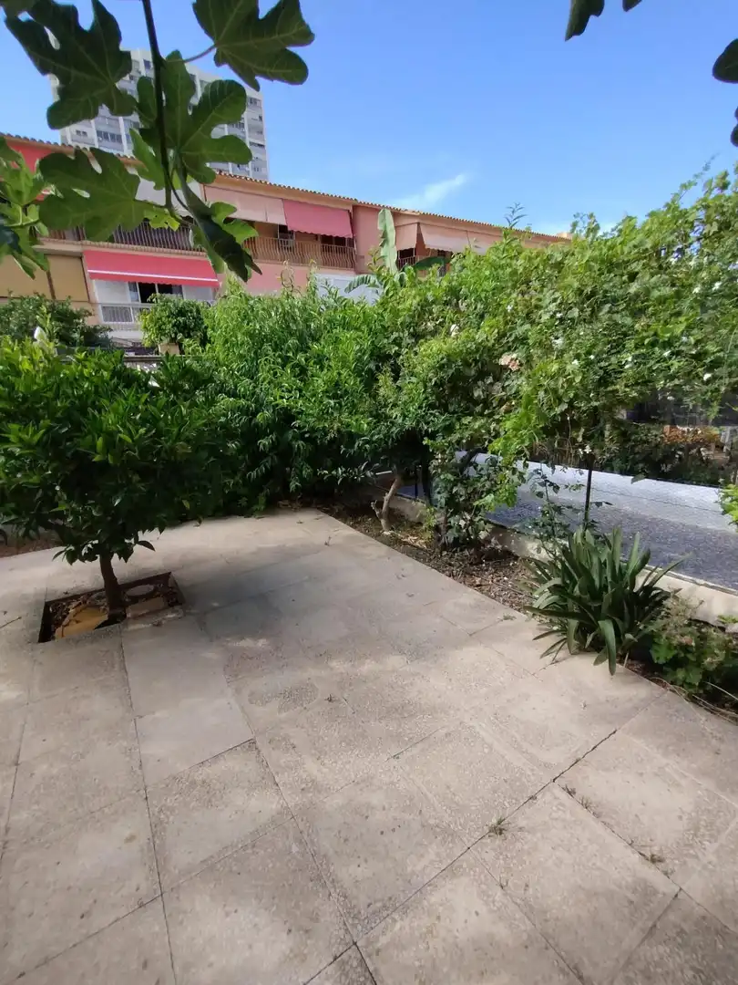 Terraced house with pool for sale in Juzgados - Plaza de Toros, imagen 4