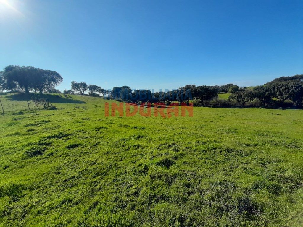Finca rústica en venta en Millanes