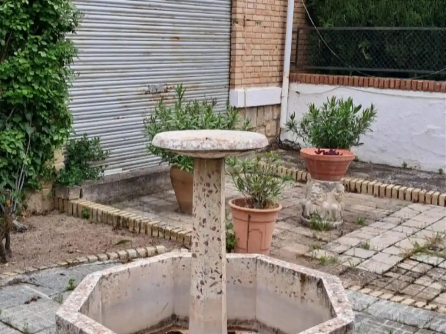Jardí de Casa o xalet en venda en Baeza amb Jardí privat, Piscina i Moblat