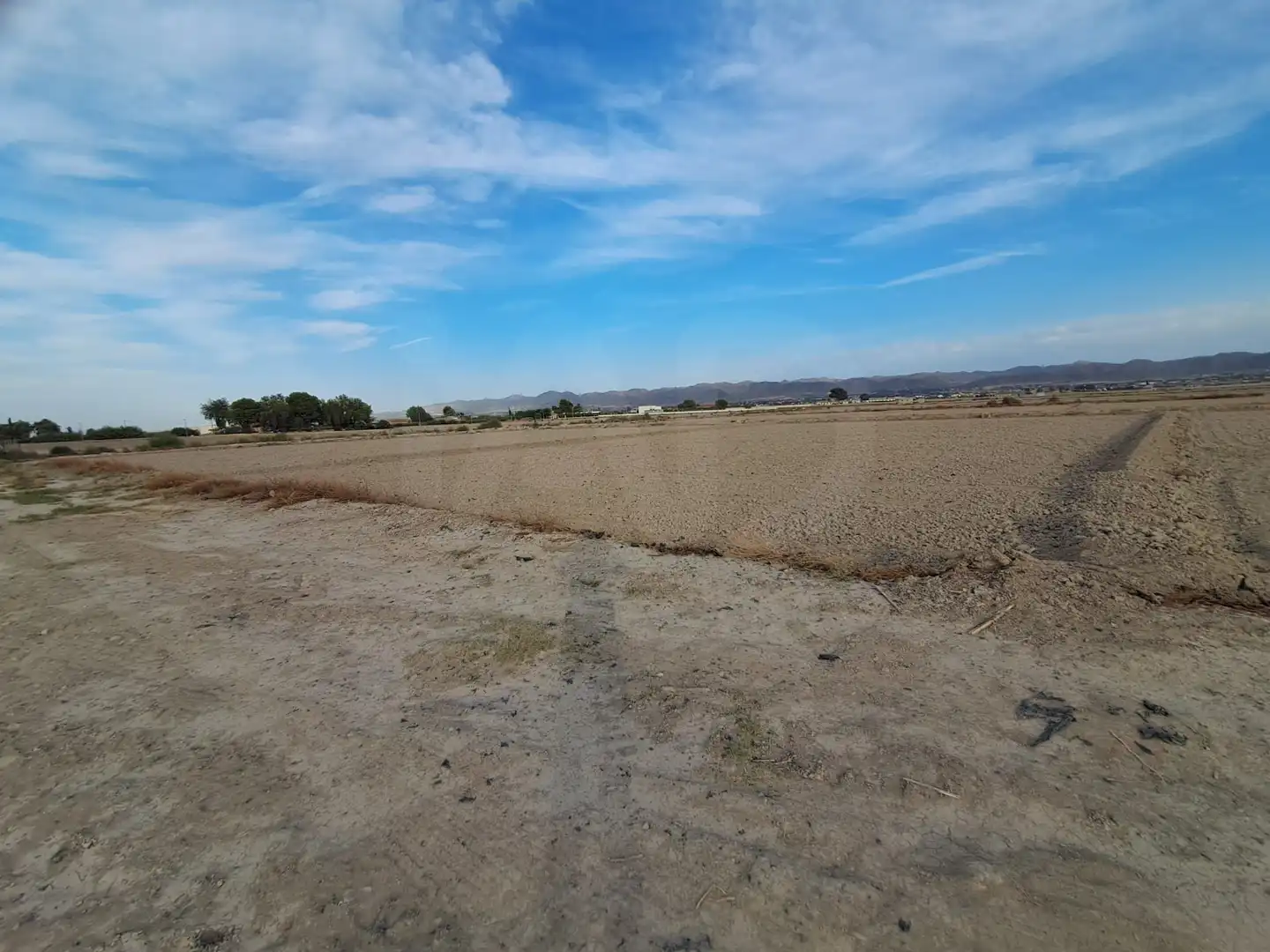 Lands and plots for sale in Pedanías Centro, imagen 9