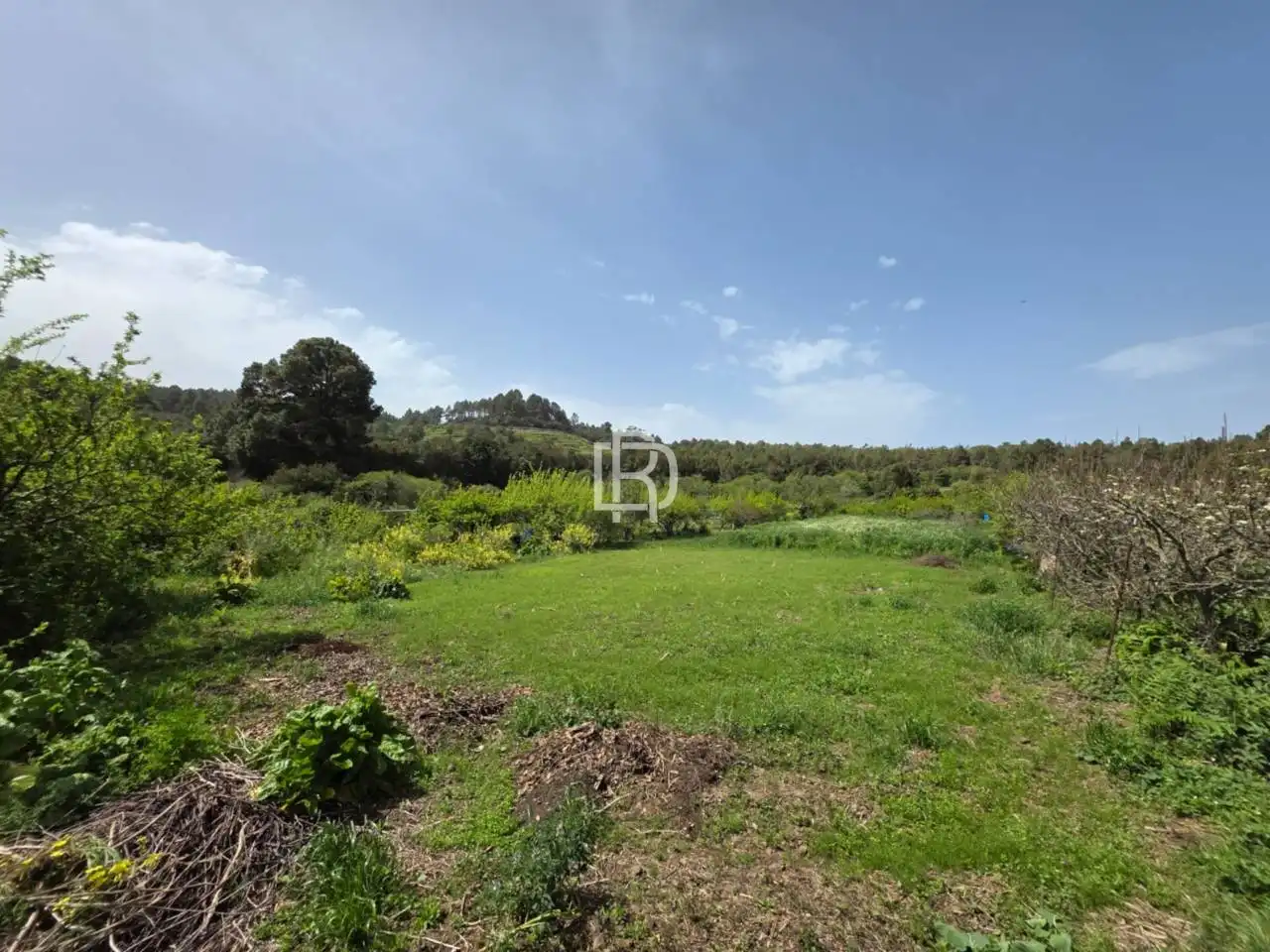 Finca rústica en venda en Garachico amb Jardí privat i Terrassa
