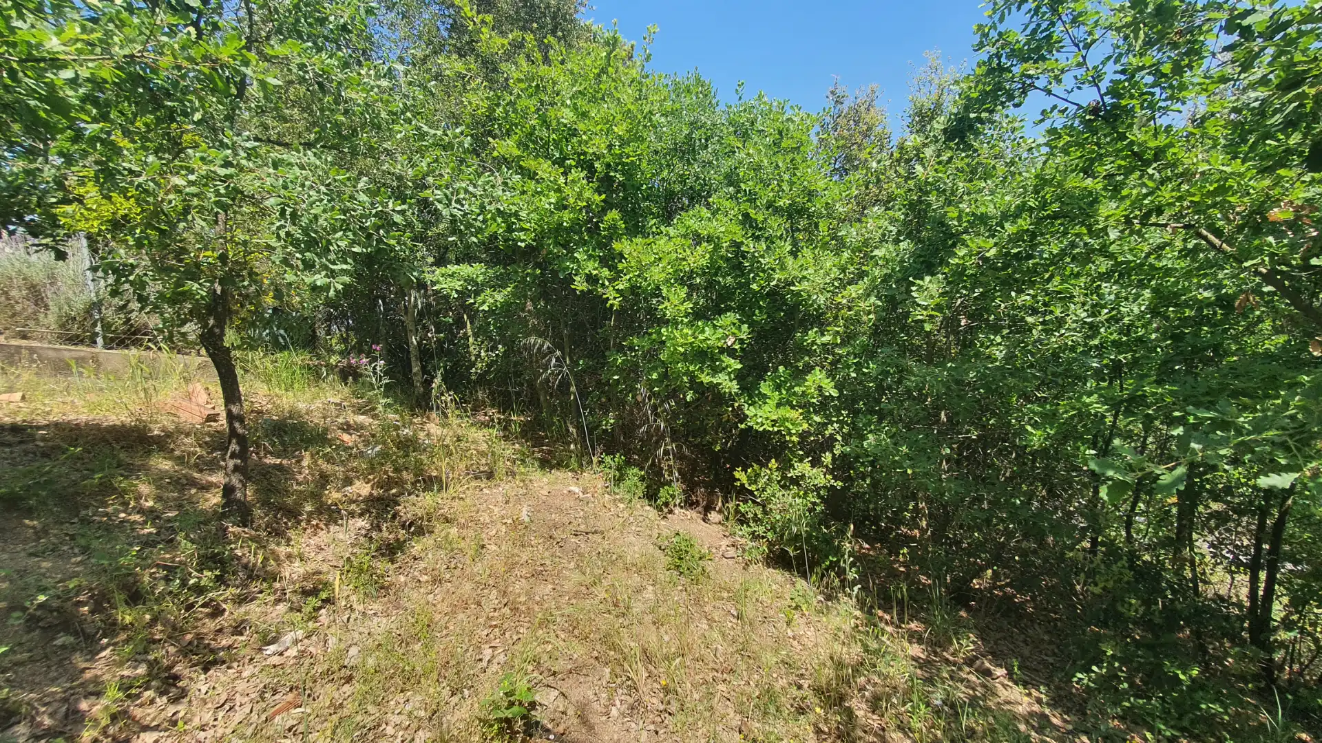 Terreno residencial en venta en Carrer Fredolic 118, imagen 10