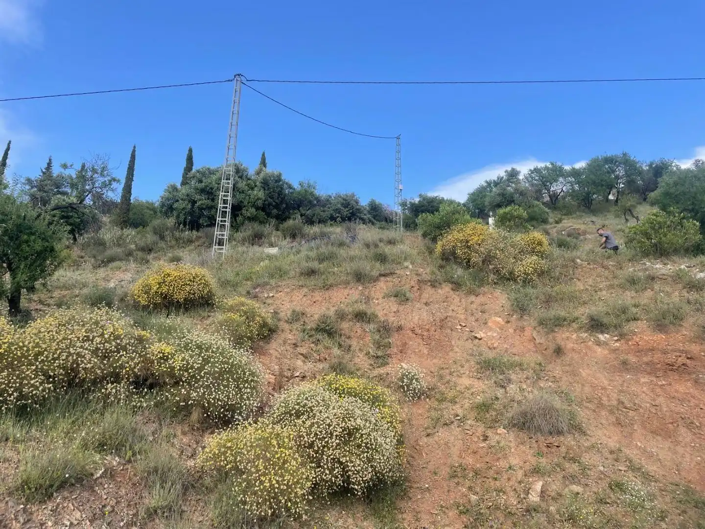Terreno en venta en Guaro