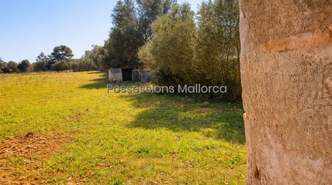 Foto 4 de Residencial en venda a Porto Pi, Palma de Mallorca