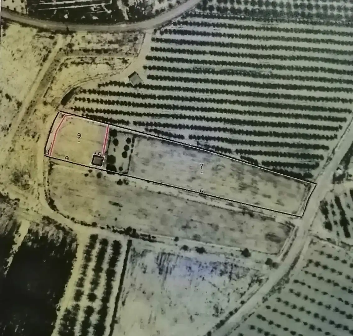 Land for sale in Ojós
