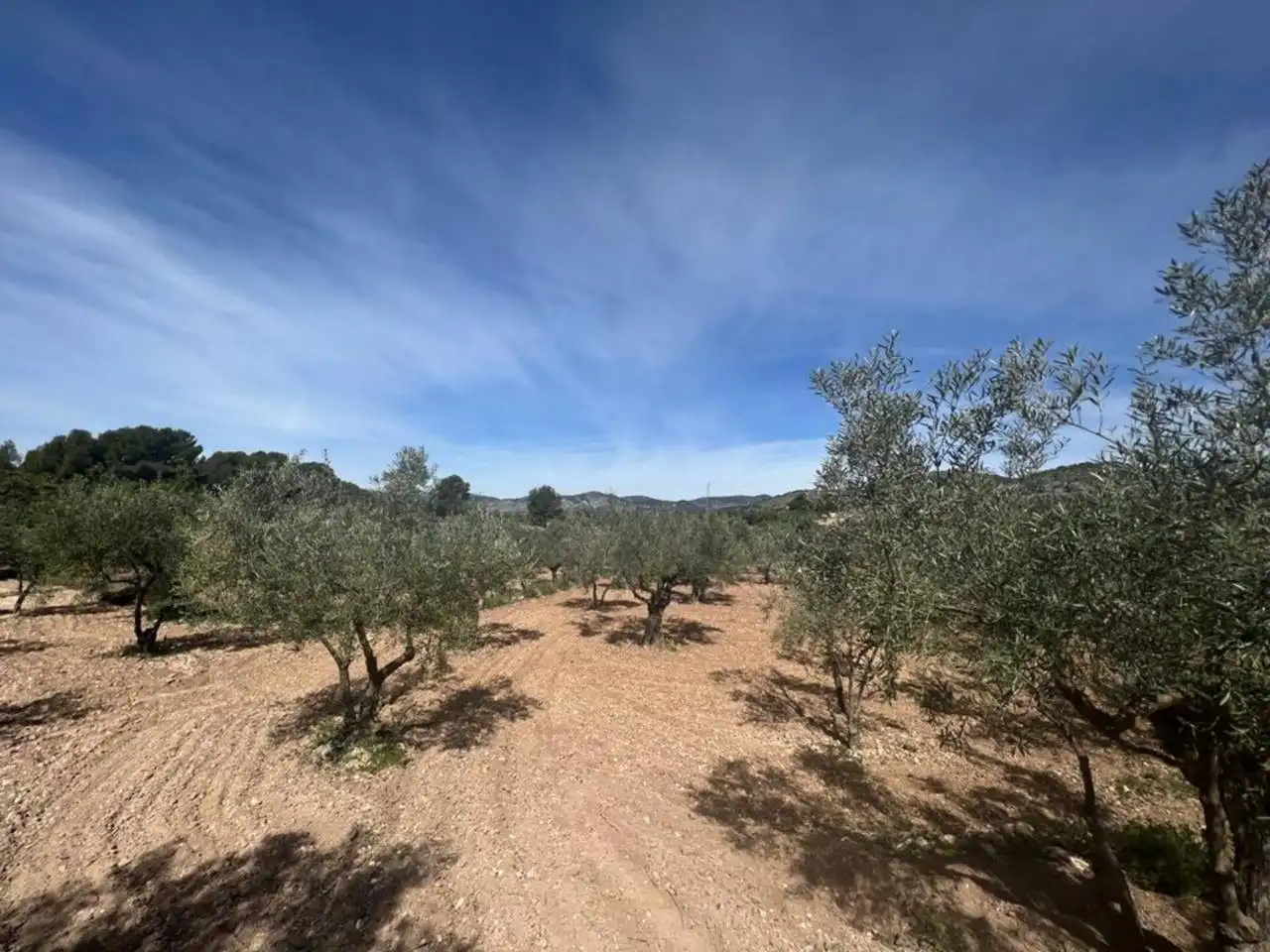 Chalet con jardín en venta en Calle Poligono, imagen 147