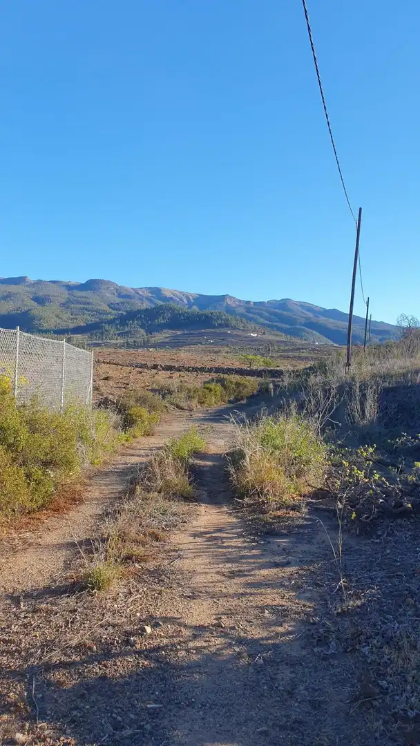 Terreno rústico en venta en Carretera General Vilaflor, imagen 19