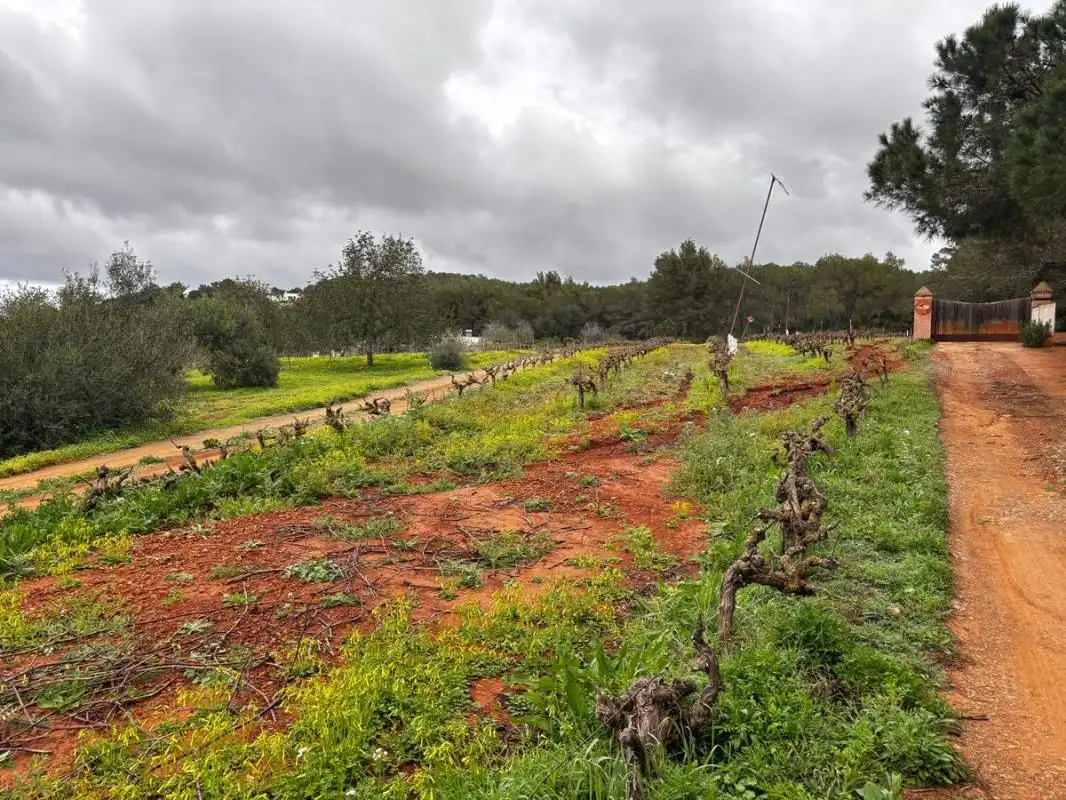 Land for sale in Sant Joan de Labritja