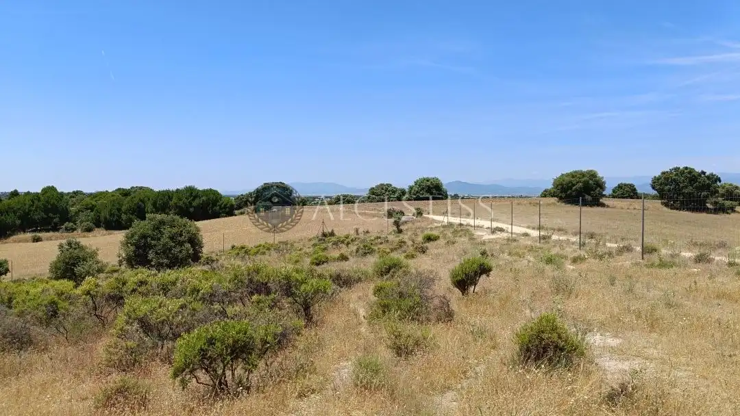 Terreno en venta en La Torre de Esteban Hambrán