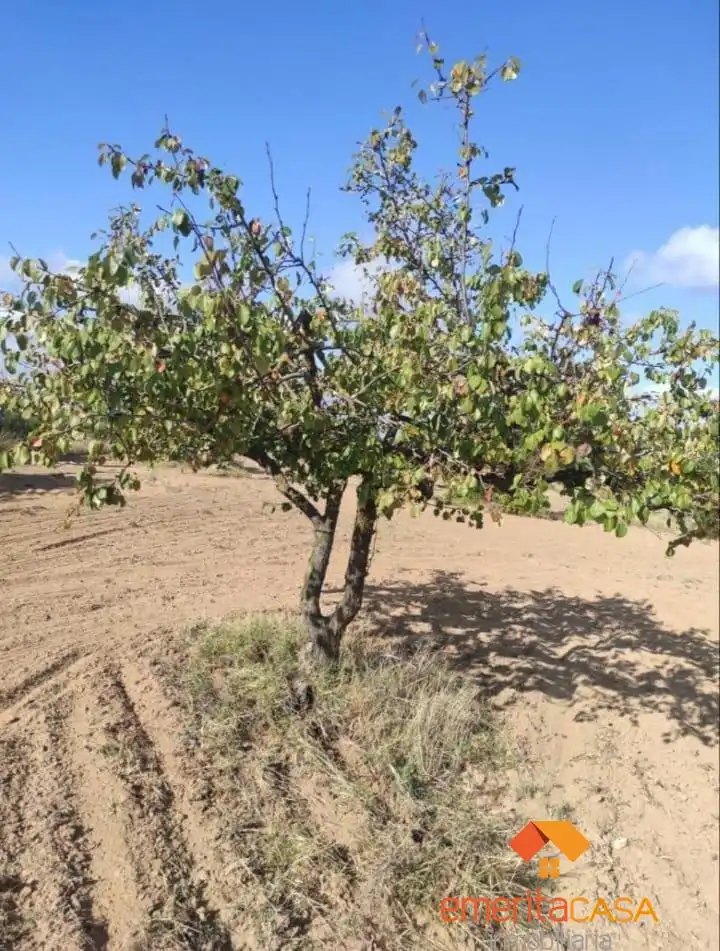 Terreni e lotti in vendita a Oeste, imagen 7