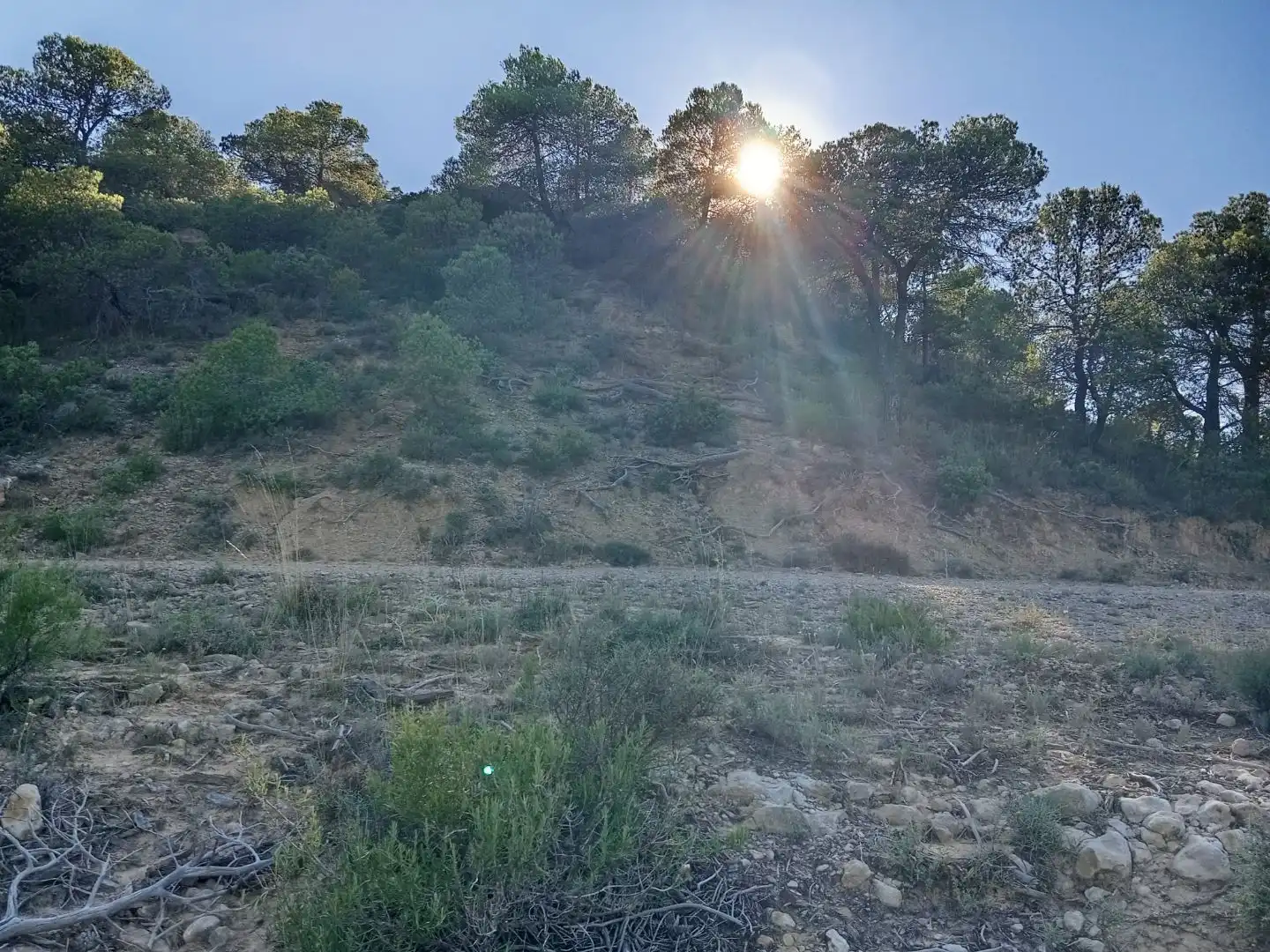 Terreno en venta en Torre de Arcas