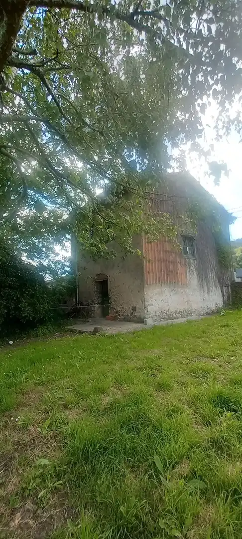 Vista exterior de Finca rústica en venta en Villaviciosa
