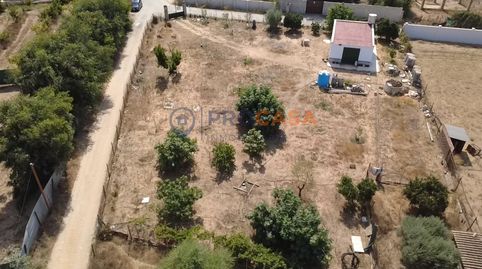 Foto 3 de Finca rústica en venta en Los Granadillos, Pedanías Norte, Utrera