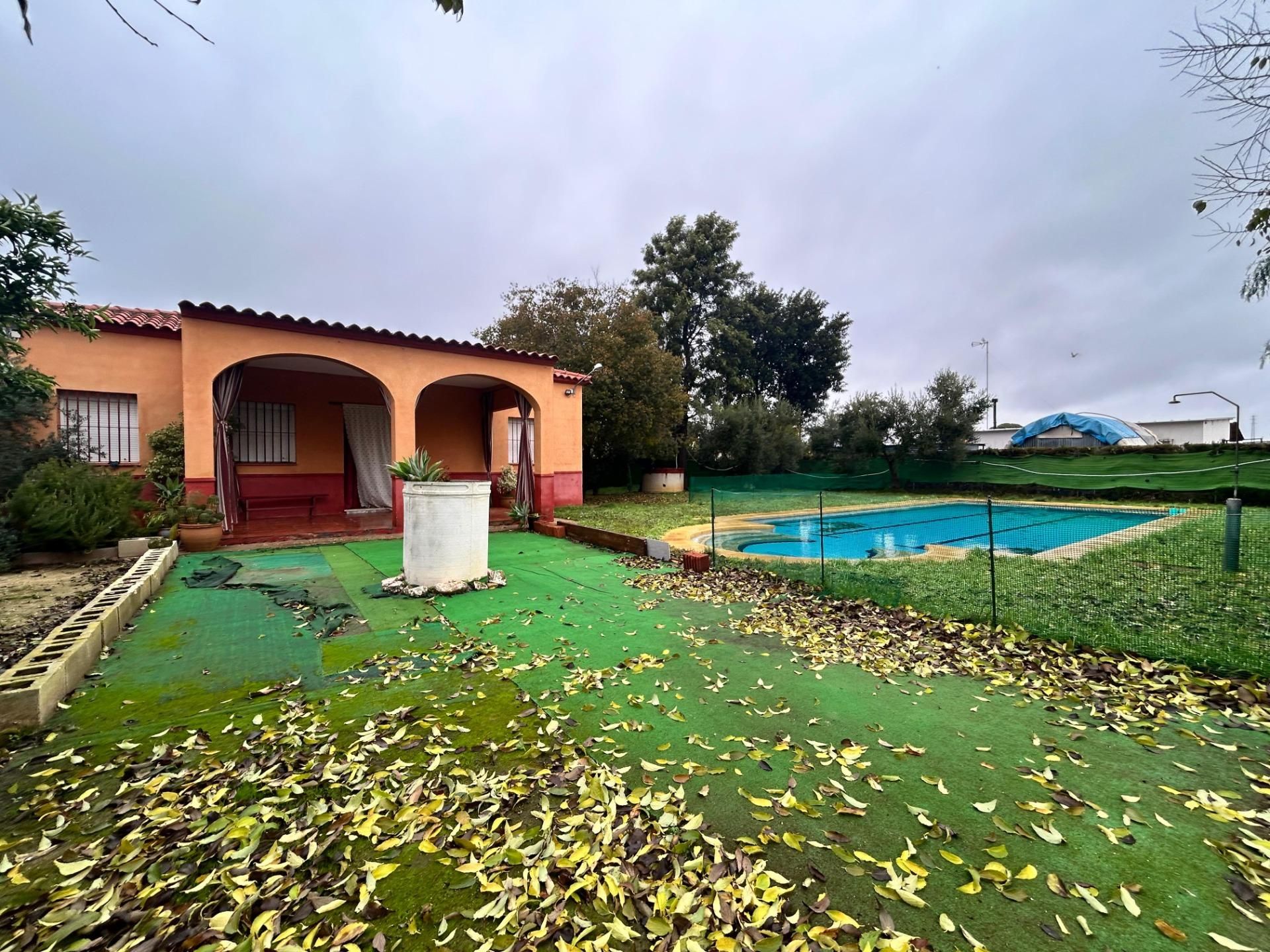 Jardí de Finca rústica en venda en Marchena