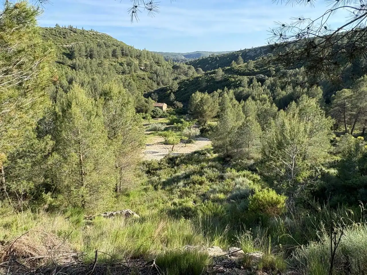 Finca rústica en venda en Buñol amb Jardí privat, Terrassa i Traster