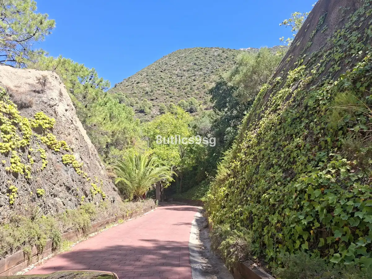 Vista exterior de Finca rústica en venta en Istán, Málaga