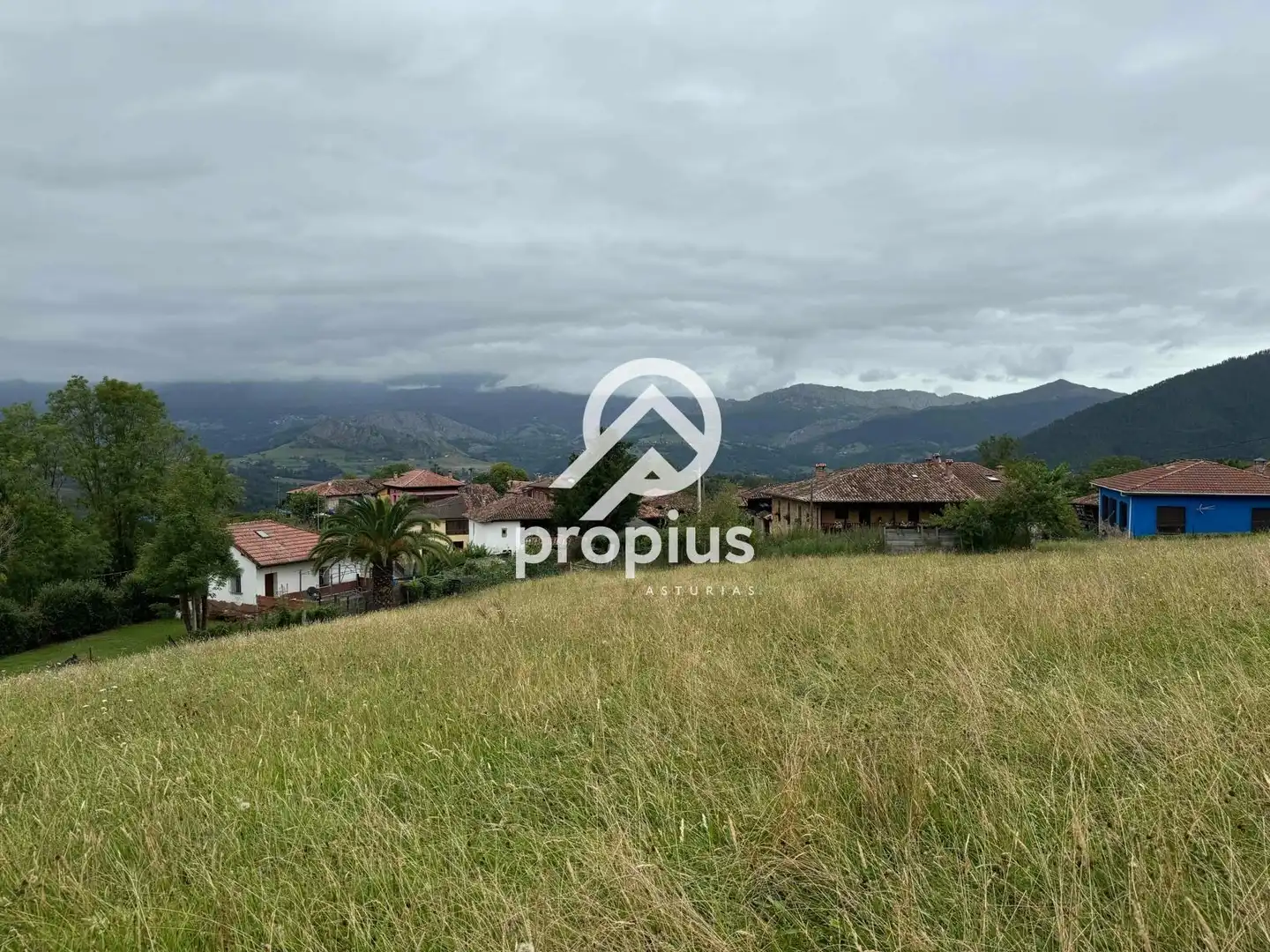 Rural land for sale in Arenas, imagen 14