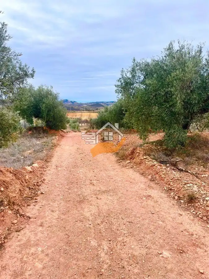 Residential land for sale in Vélez-Rubio, imagen 8