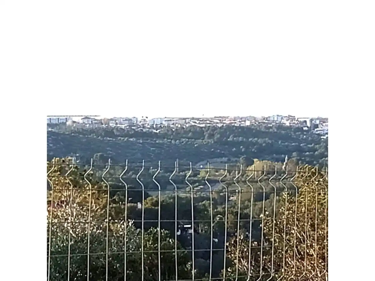 Terreny residencial en venda a Calle Tulipa, imagen 5