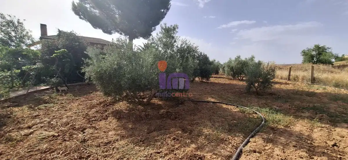 Casa o xalet en venda en Valdepeñas amb Jardí privat i Piscina