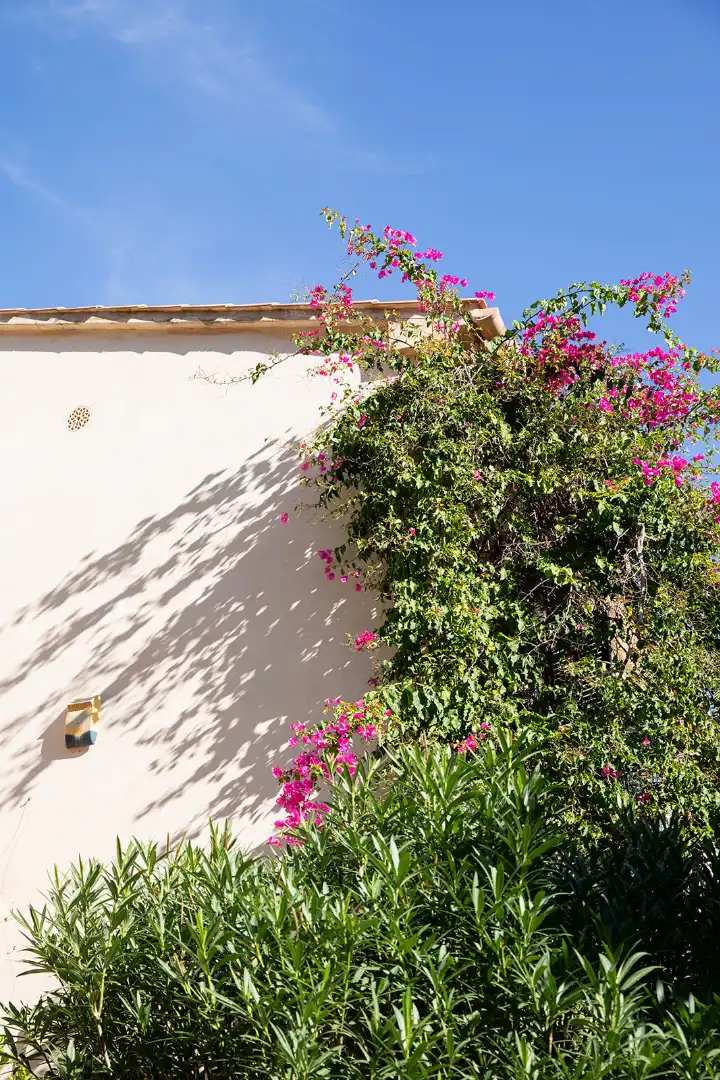 Jardín de Casa o chalet en venta en Pollença con Amueblado