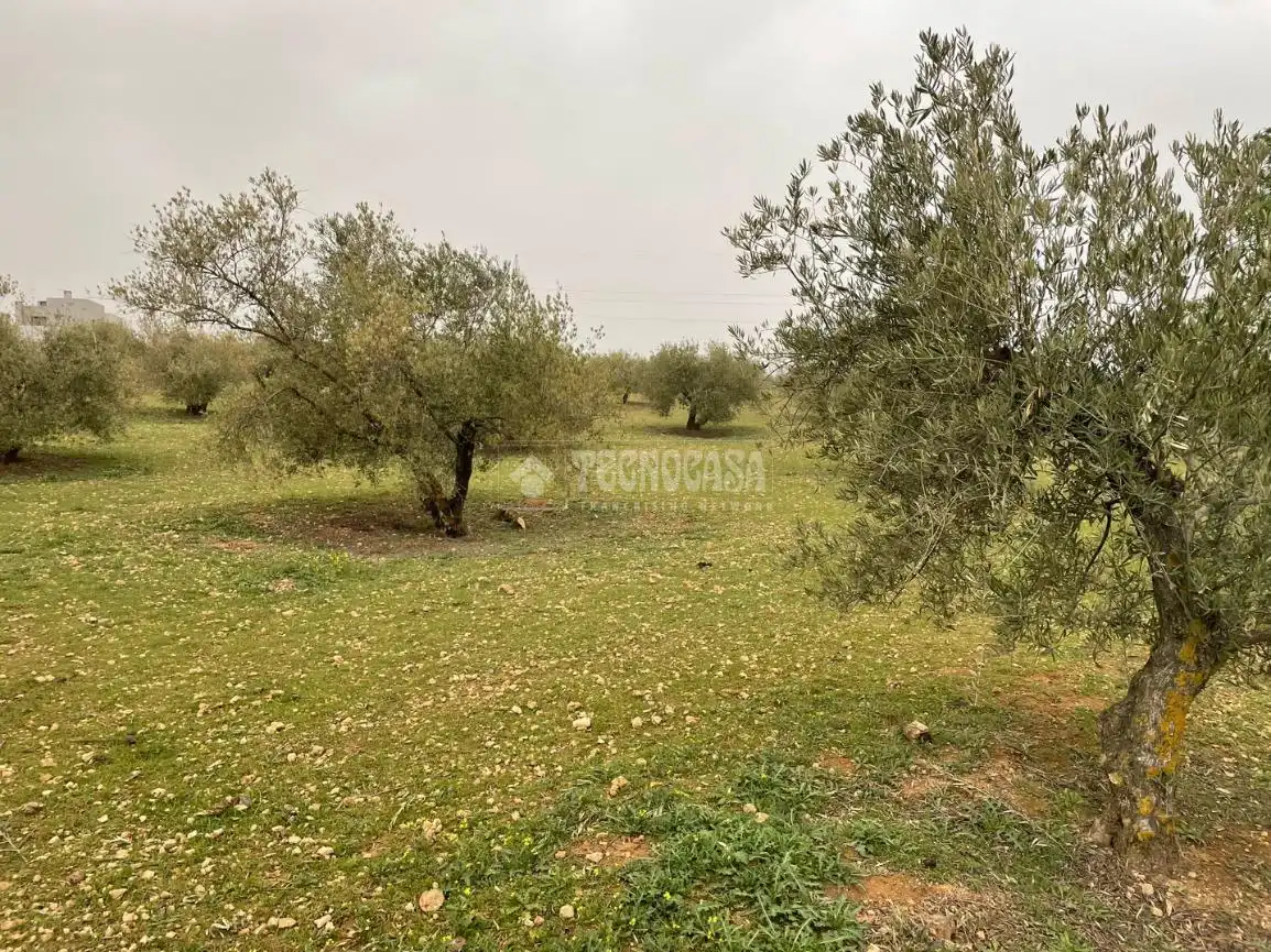 Terrenys i solars en venda a Albolote, imagen 13