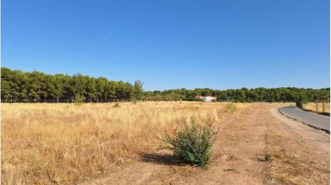 Foto 3 de Residencial en venta en San Pedro, Albacete