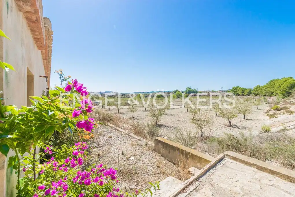 Casa amb terrassa en venda a San Miguel de Salinas, imagen 4
