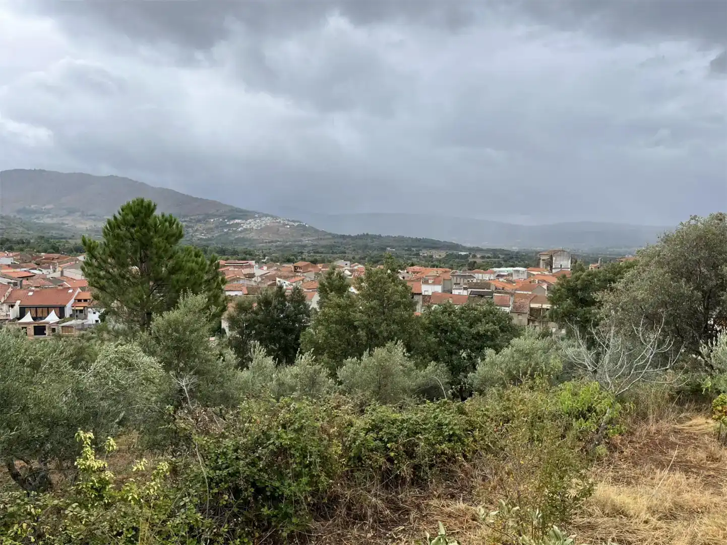 Terreno en venta en Valverde del Fresno