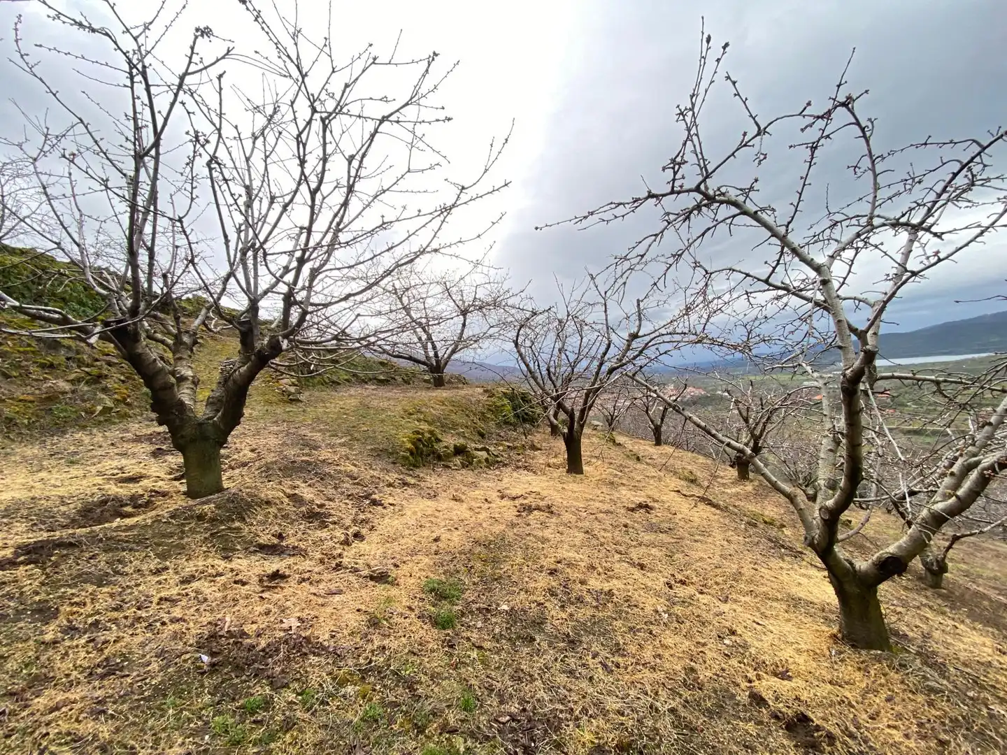 Terreni e lotti in vendita a Hervás, imagen 9