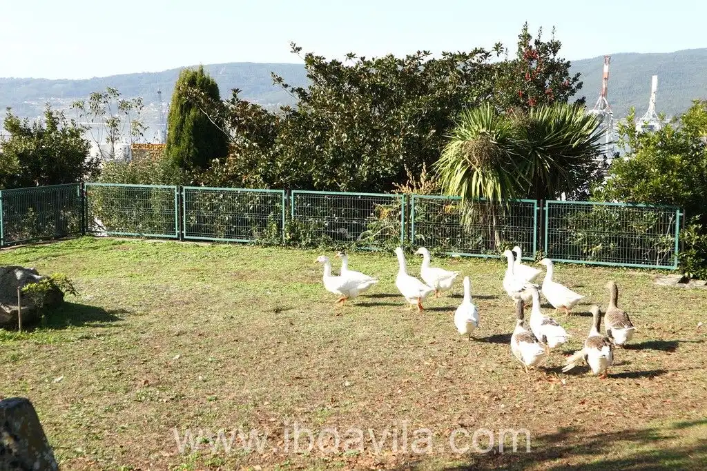 Xalet amb piscina en venda a Parroquias Rurales, imagen 22