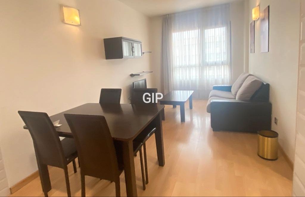 Sala d'estar de Apartament de lloguer en  Madrid Capital amb Aire condicionat, Calefacció i Parquet